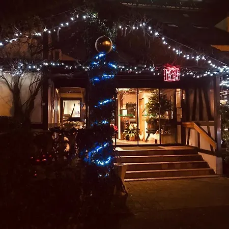 Hotel Sud Huttenheim